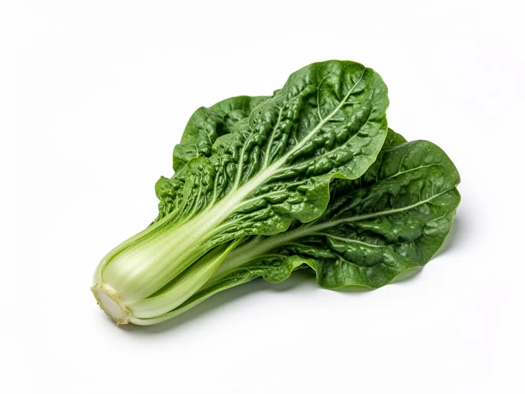 chou vert