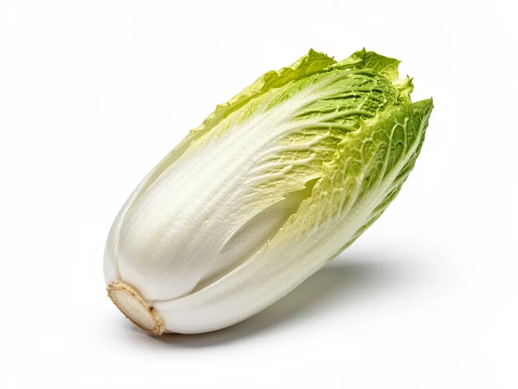 endive