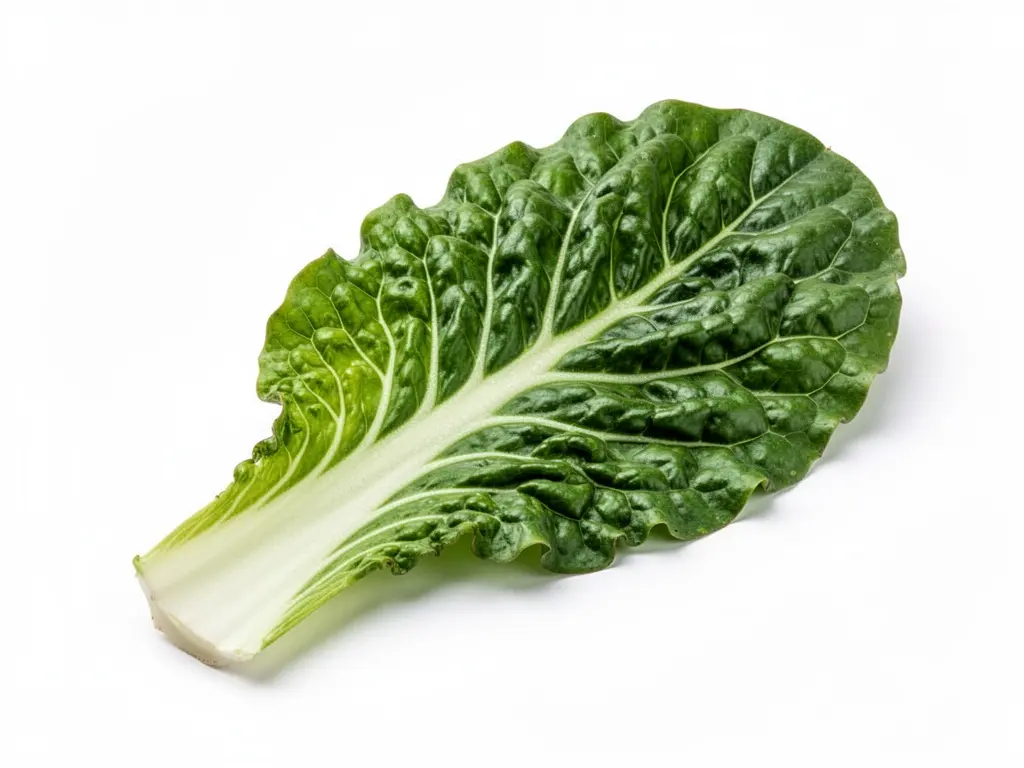 feuille de blette