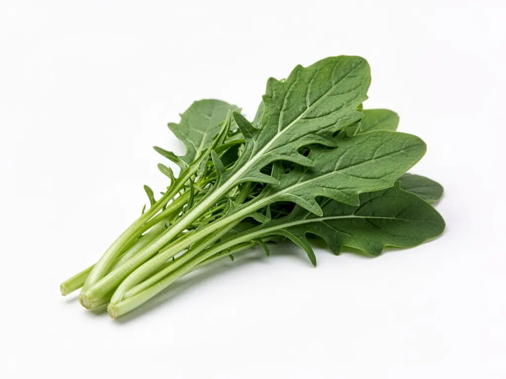 poignée de roquette