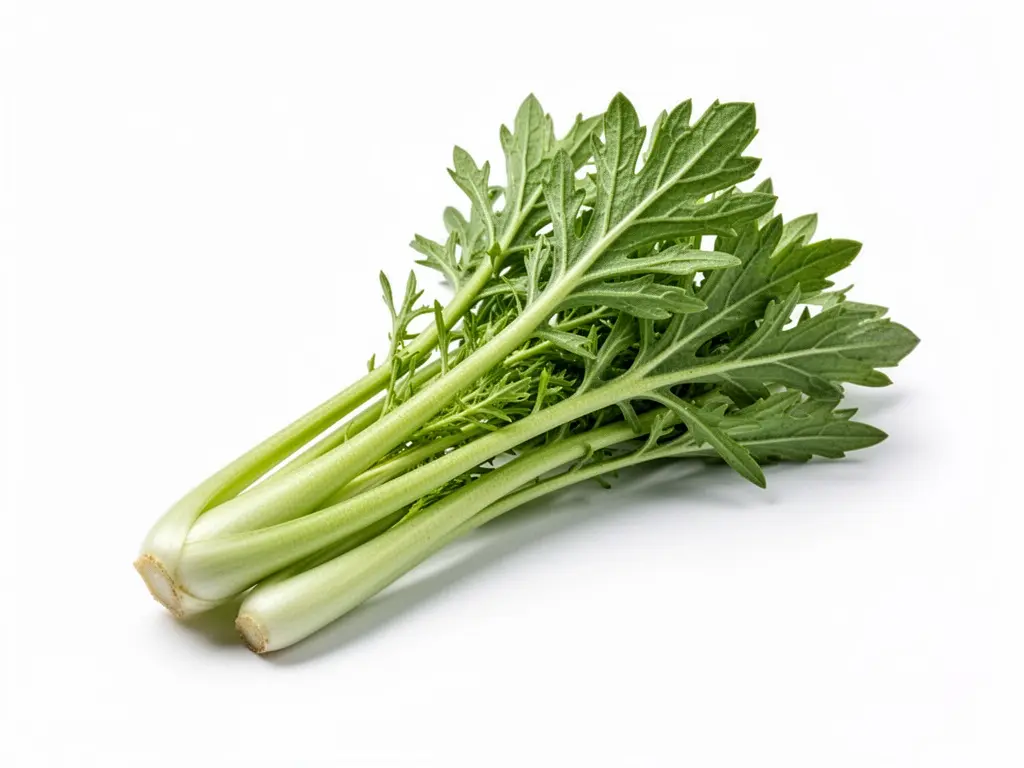 roquette