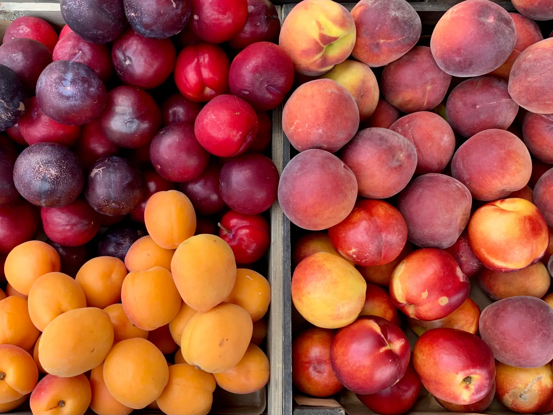 Desserts aux fruits d’été : pêches, abricots, prunes et nectarines pour profiter des derniers beaux jours + 3 idées de recettes par fruit (au moins)