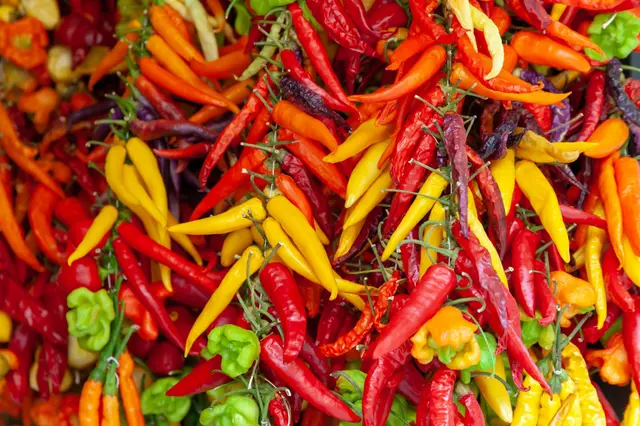 Piments rares : ces variétés méconnues qui révolutionnent les sauces et la cuisine maison