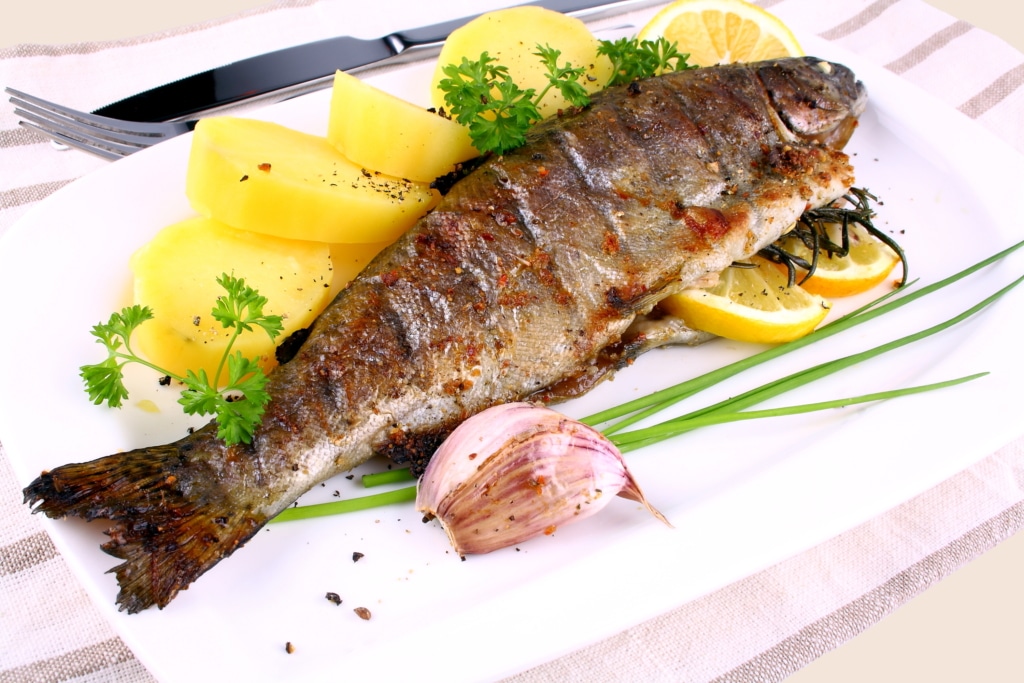 er le saumon