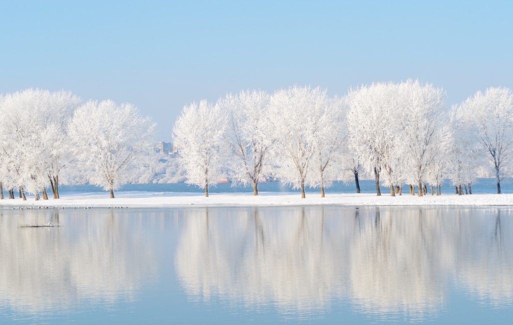 Le mois du blanc s'accompagne bien souvent de neige et de gel