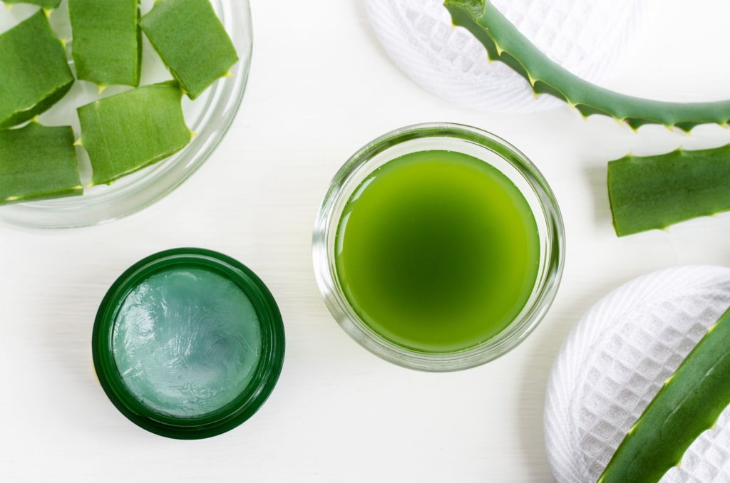 Jus d'aloe vera et gel d'aloe vera