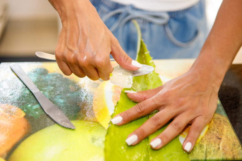 Aloe vera en train d'être retiré