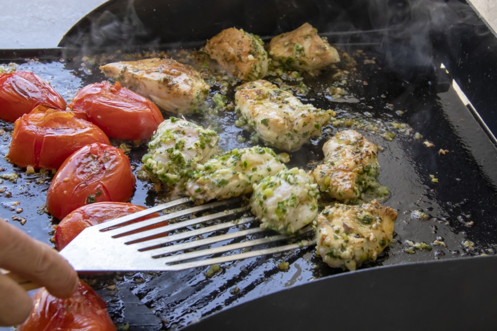 quelle plancha choisir pour cuire poisson tomates ou autres
