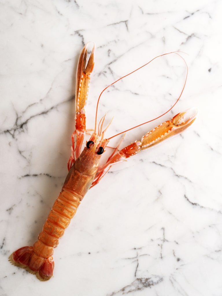 Parmi les crustacés : la langoustine