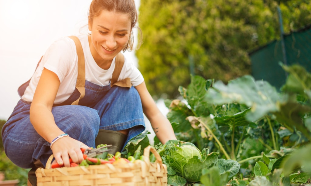 Récolte-t-elle des fruits et légumes de mai ?