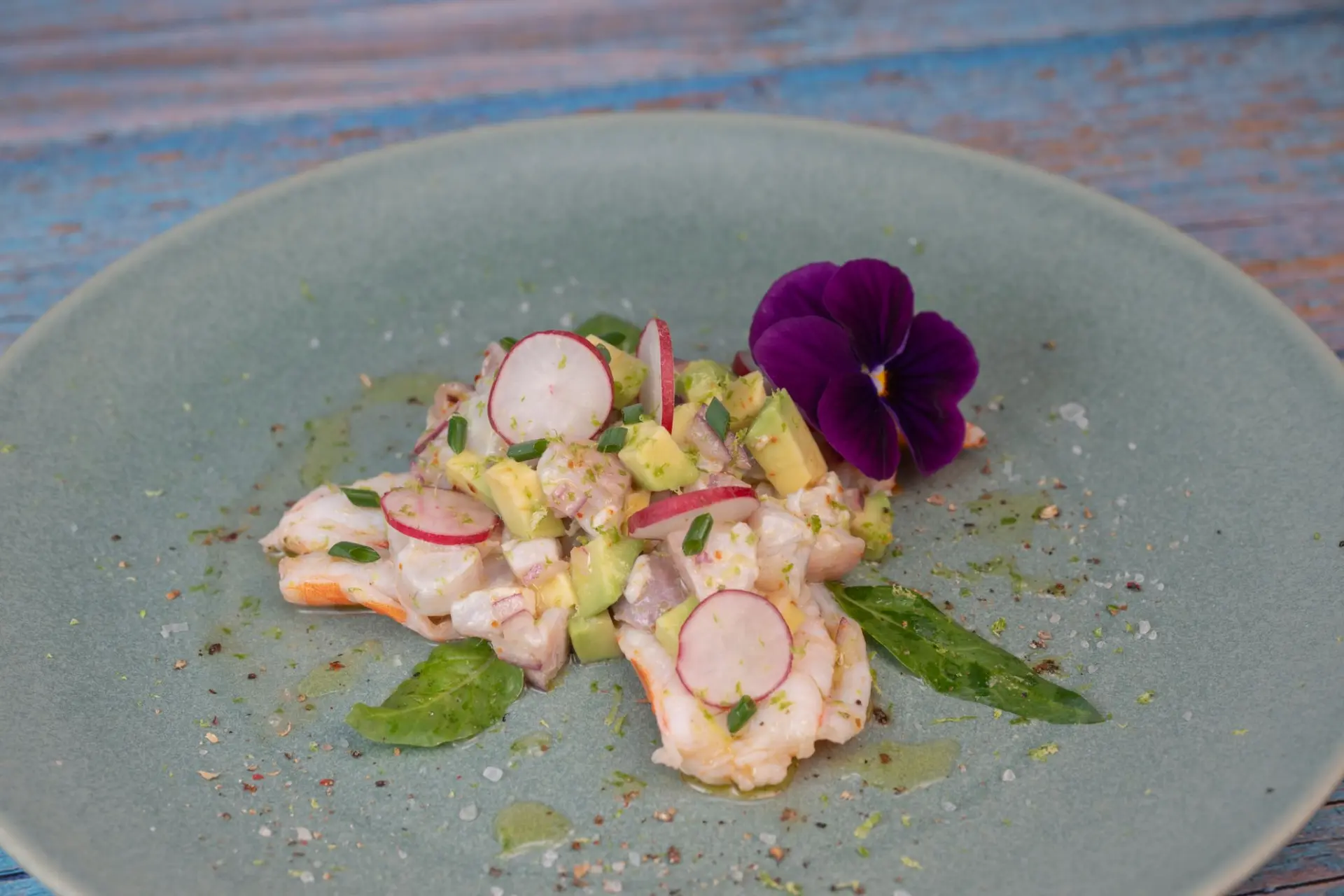 Ceviche de dorade et de crevettes avec avocat et radis