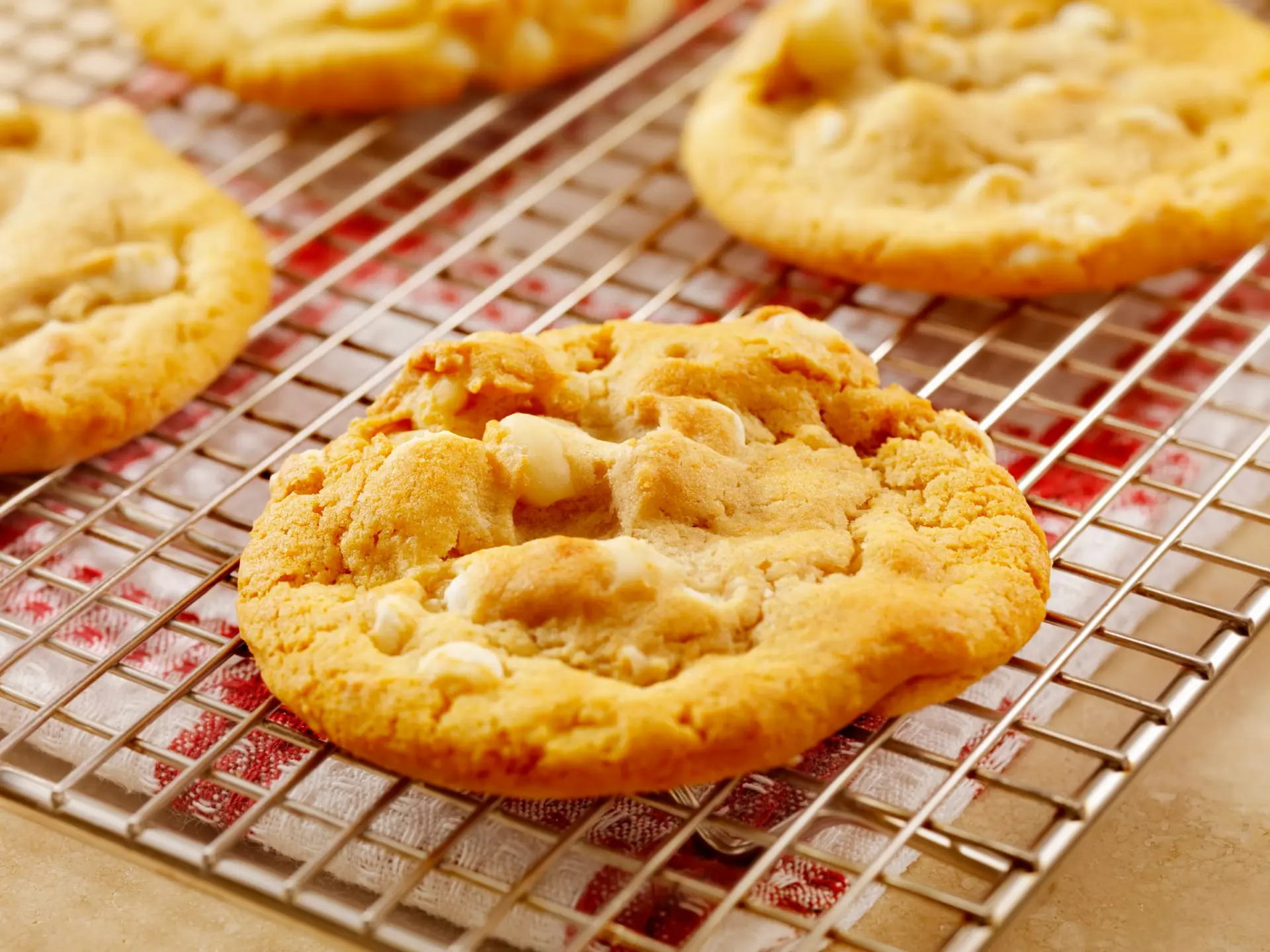 Cookie noix de macadamia chocolat blanc