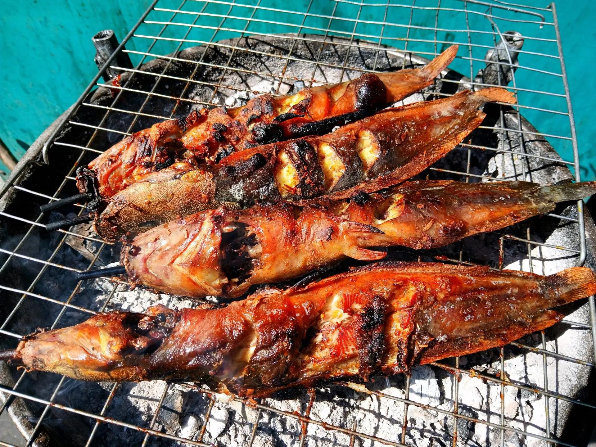 Poisson-chat au barbecue