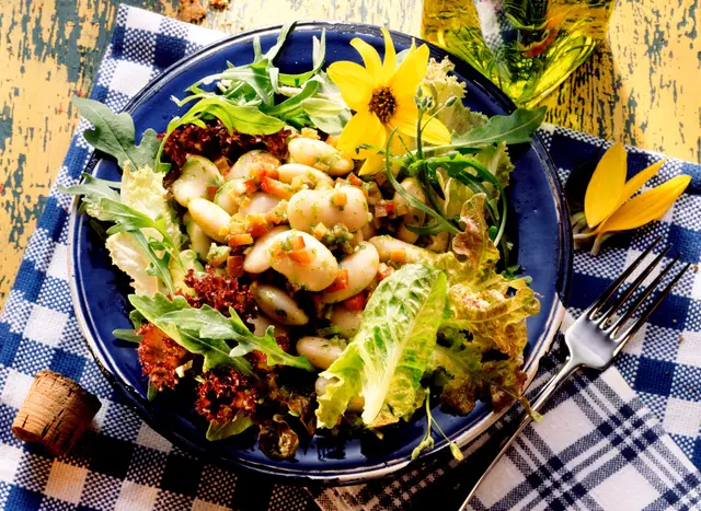 Salade de haricots blancs aux légumes et à la roquette sur lit de salade