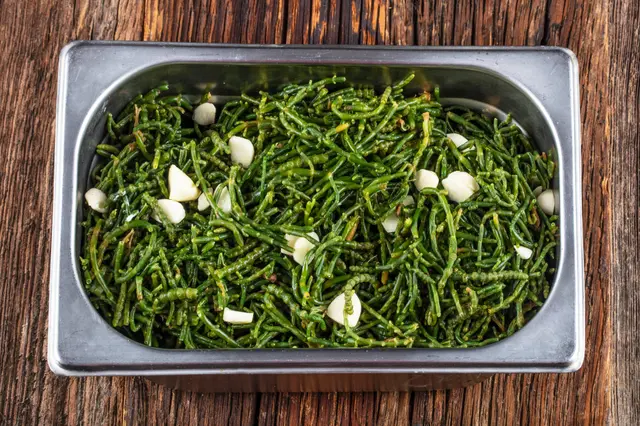 Salade de salicorne à l'ail et l'huile d'olive