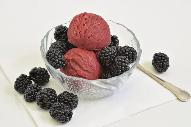 Sorbet à la mûre