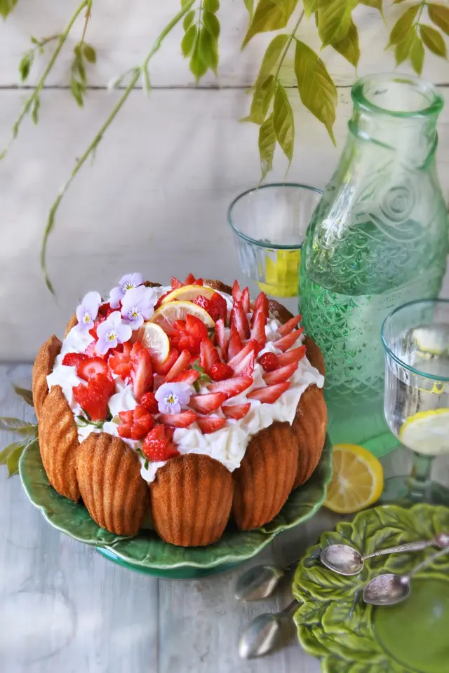 Charlotte aux madeleines et fraises
