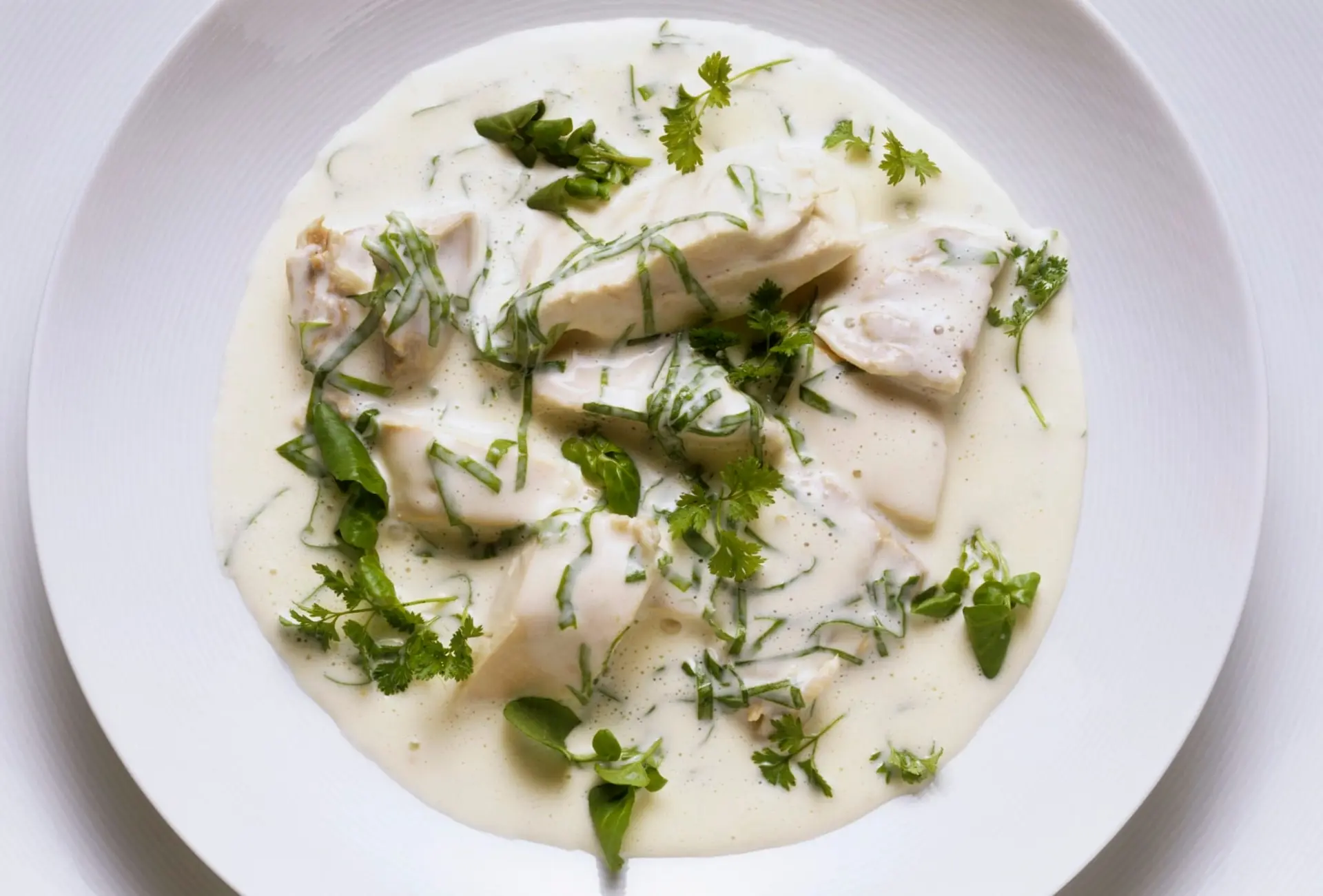 Fricassée de poulet aux herbes