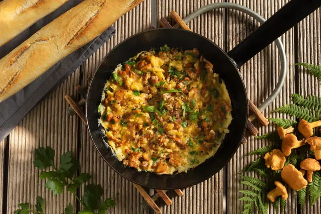 Omelette aux chanterelles