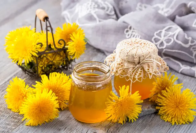 Recette de confiture de fleurs de pissenlit