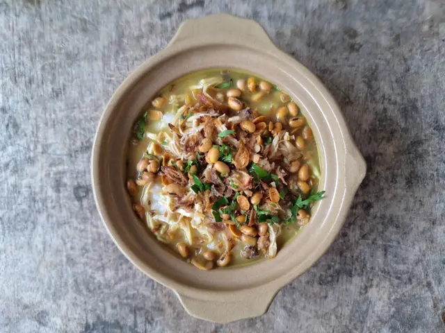 Bubur ayam indonésien au poulet effiloché, bouillon, cacahuètes et oignons frits