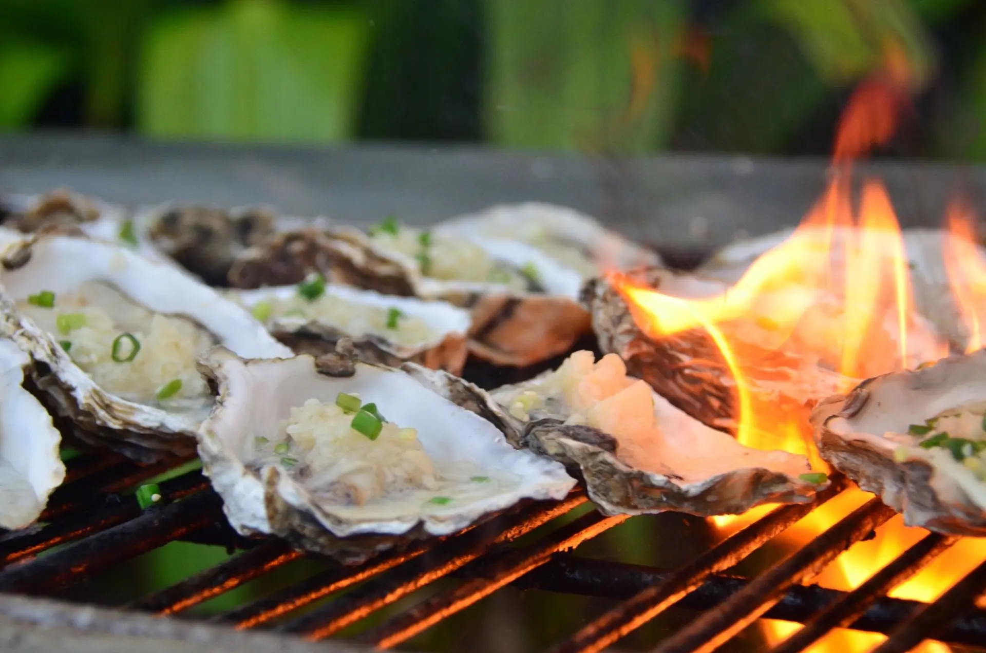 Huîtres grillées