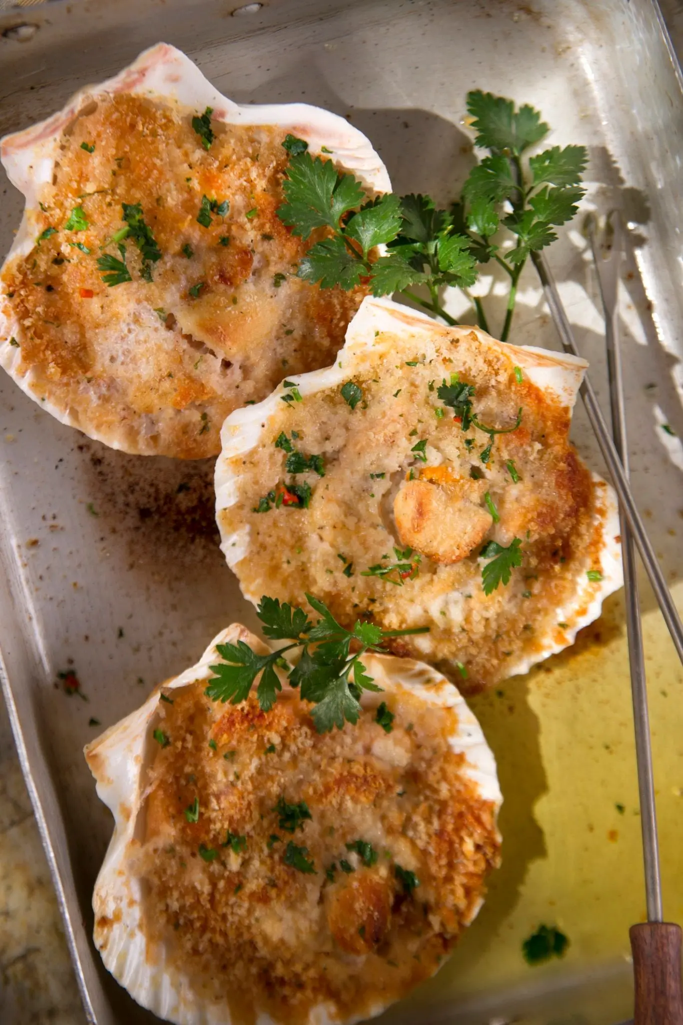 Recette coquilles saint-jacques gratinées
