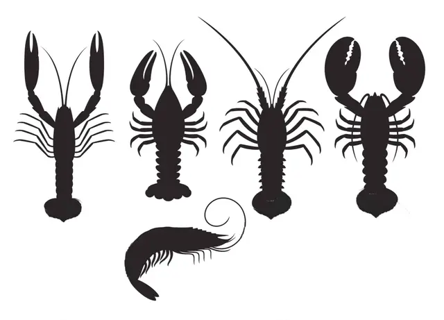 Homard, langouste, écrevisse… Guide essentiel sur les crustacés en 7 étapes, dont l’identification et les localisations, les prix et la nutrition