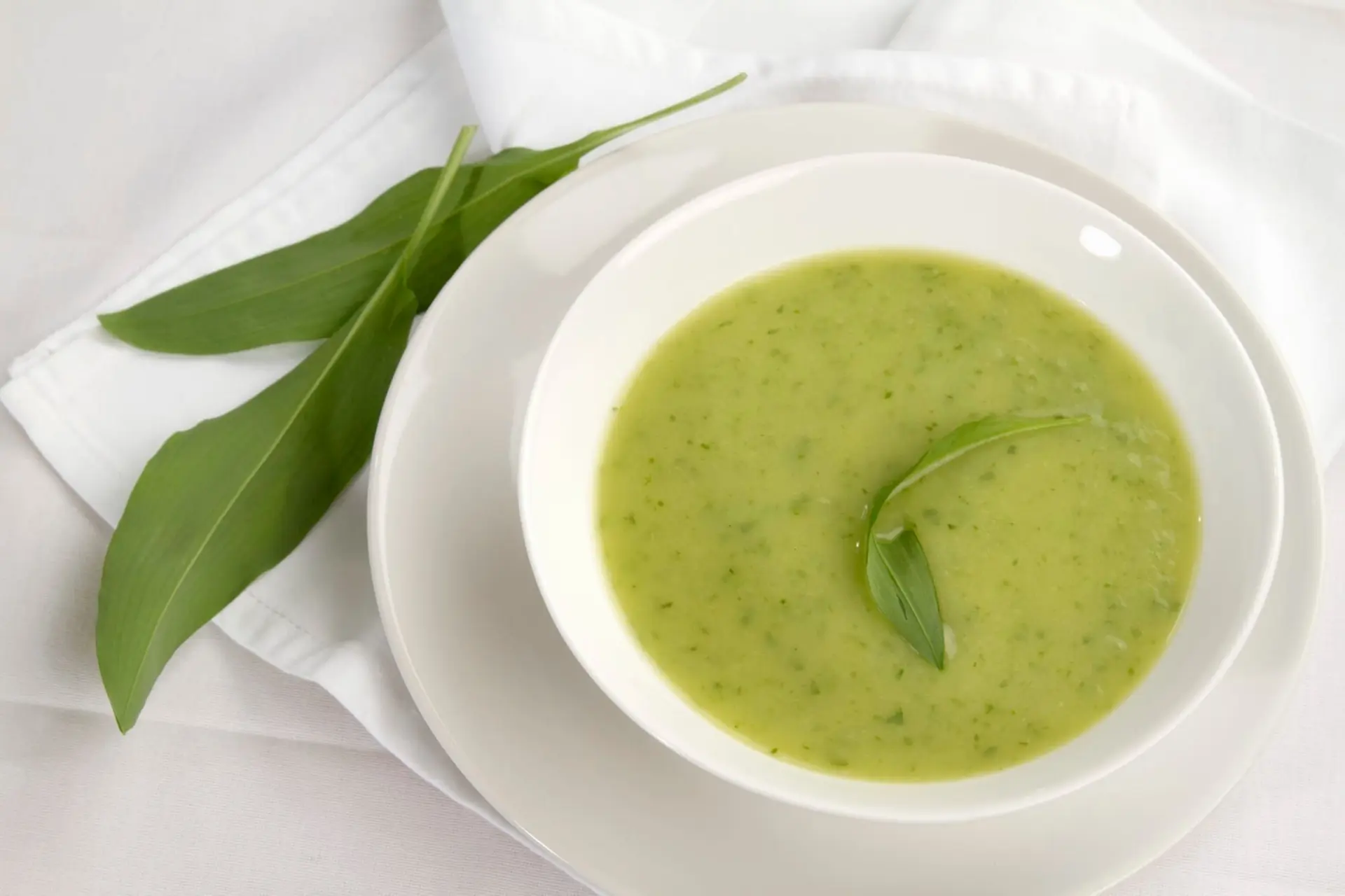 Soupe d'ail des ours