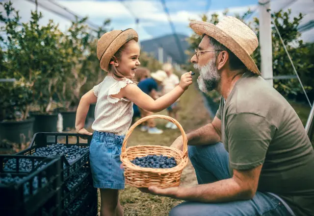 Saisons des petits fruits rouges et bleus : quand les trouver dans la nature (et dans nos jardins) ?