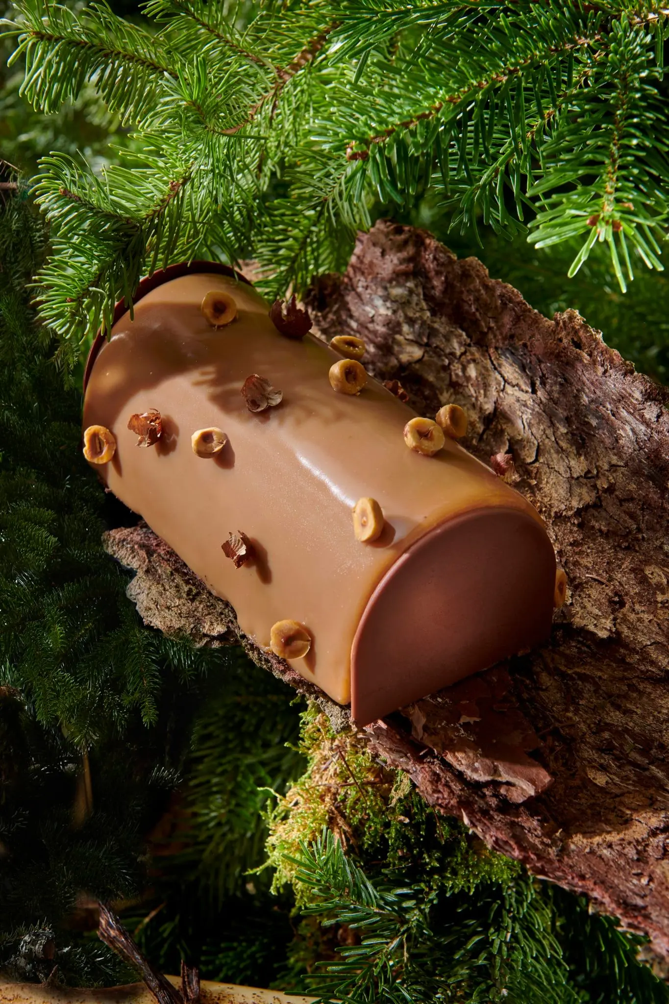 Bûche de Noël à la noisette et chocolat