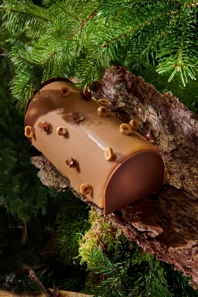 Bûche de Noël à la noisette et chocolat