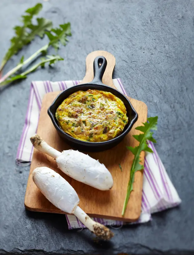 Omelette aux coprins chevelus et herbes fraîches