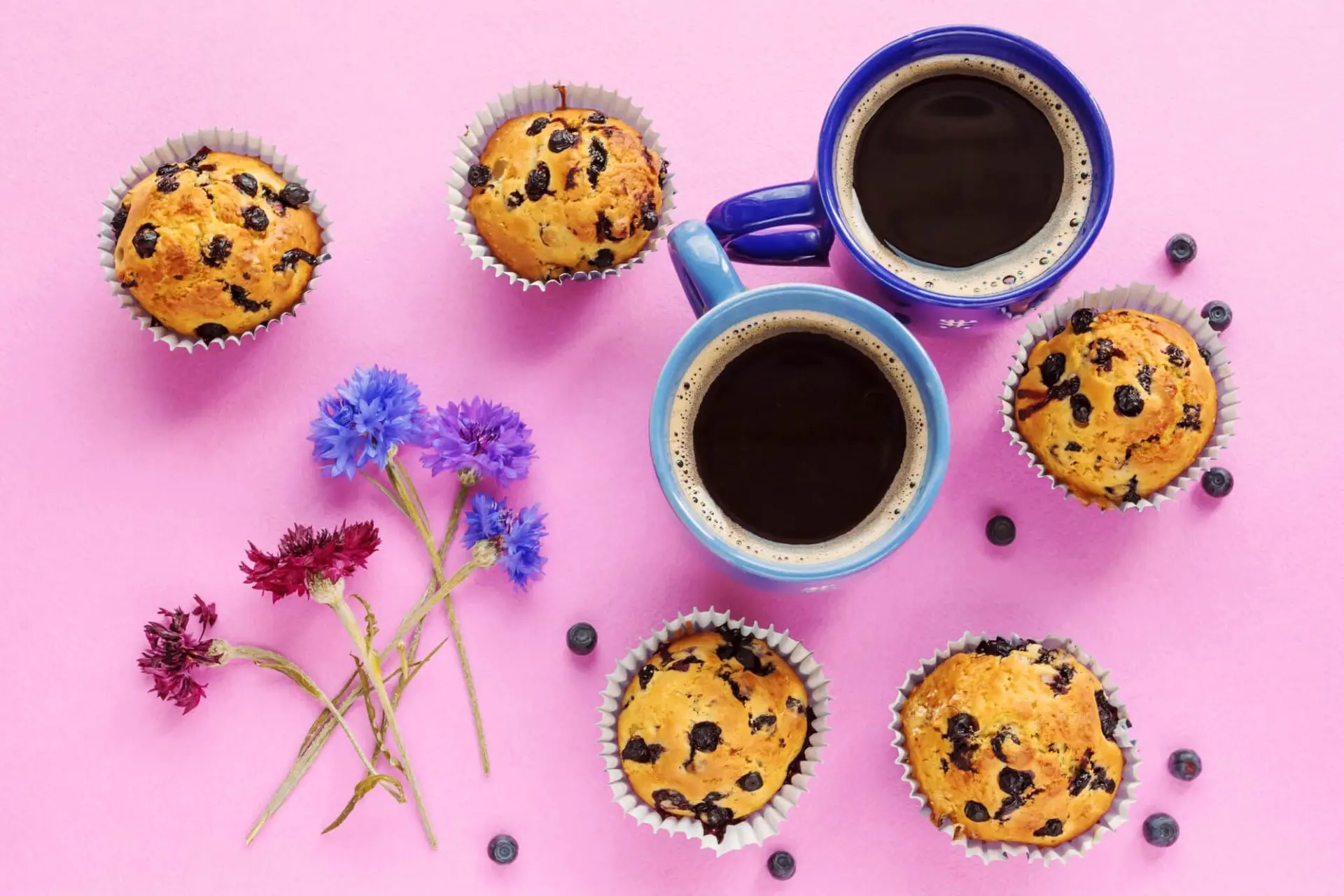 Muffins aux myrtilles