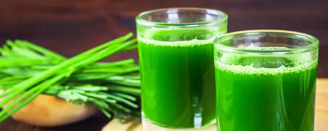 Jus d'Herbe de Blé