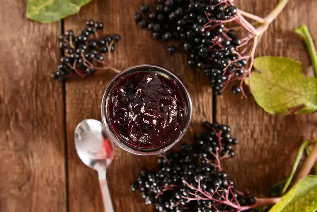 Confiture de baies de sureau
