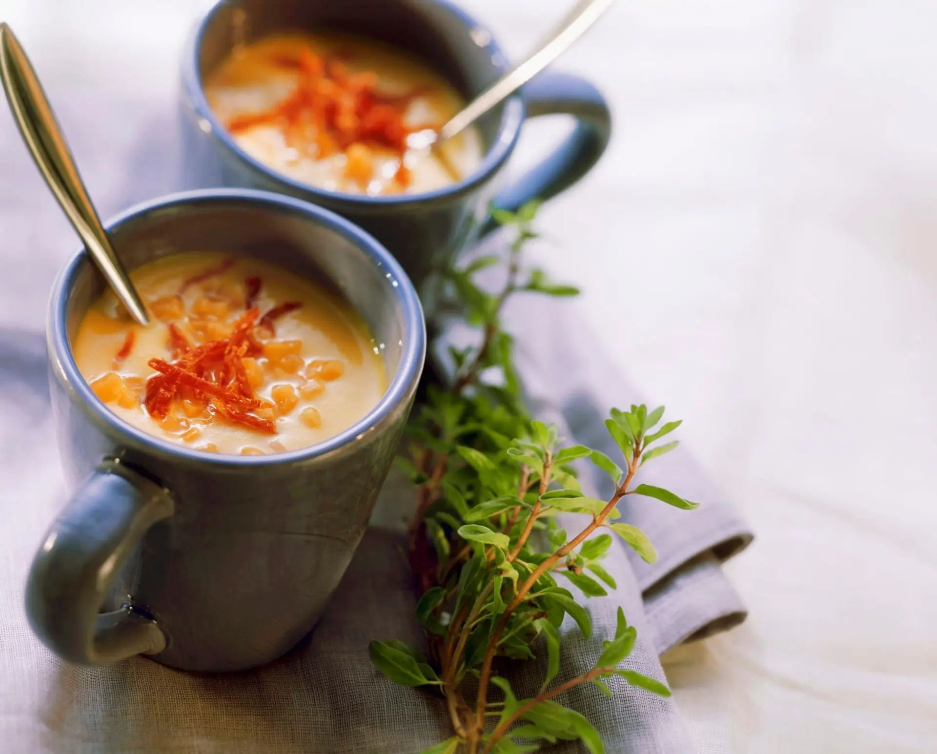 Crème légère de carottes aux tomates séchées