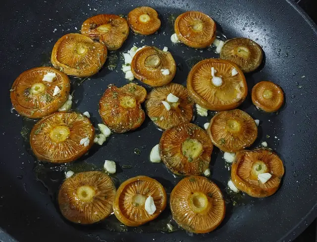 Champignons grillés au lait, au safran et à l'ail