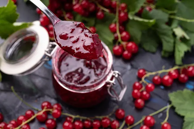 Recette de confiture de sureau rouge