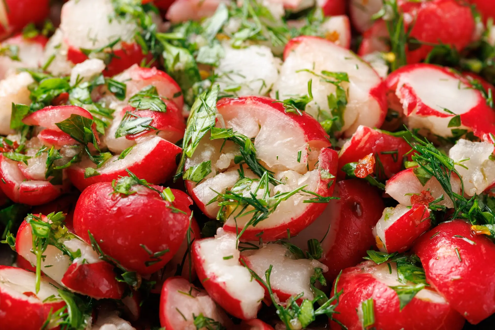 Radis marinés au vinaigre, persil, ail et aneth