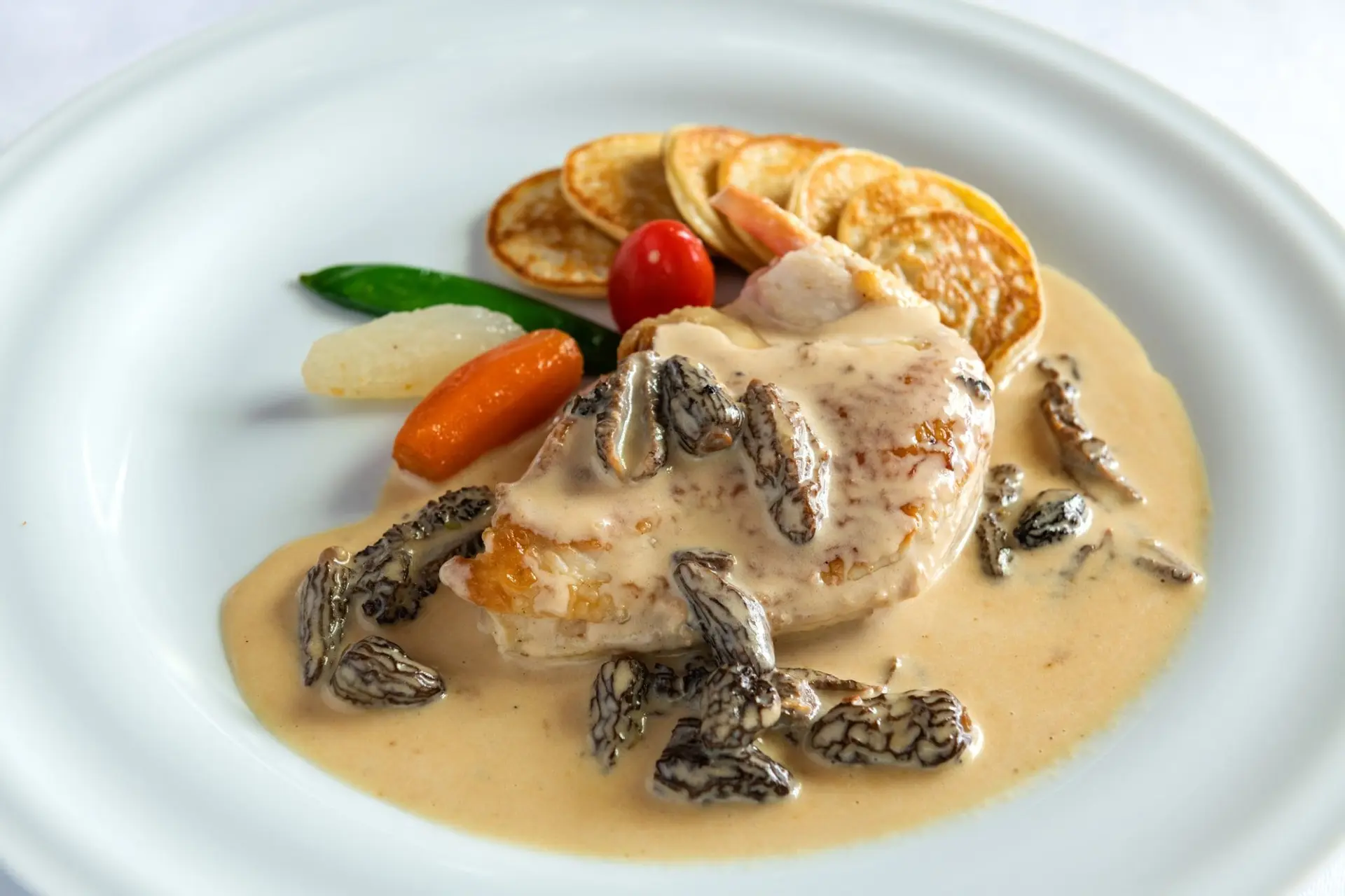 Poulet aux morilles