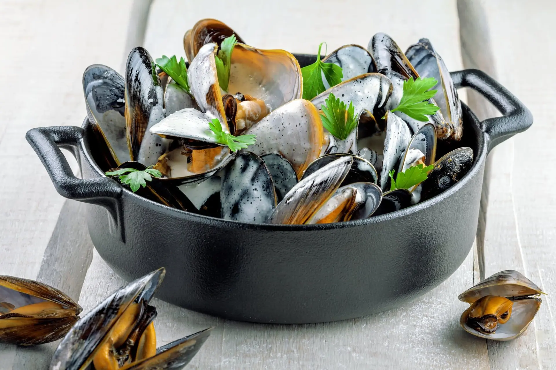 Recette moules à la crème