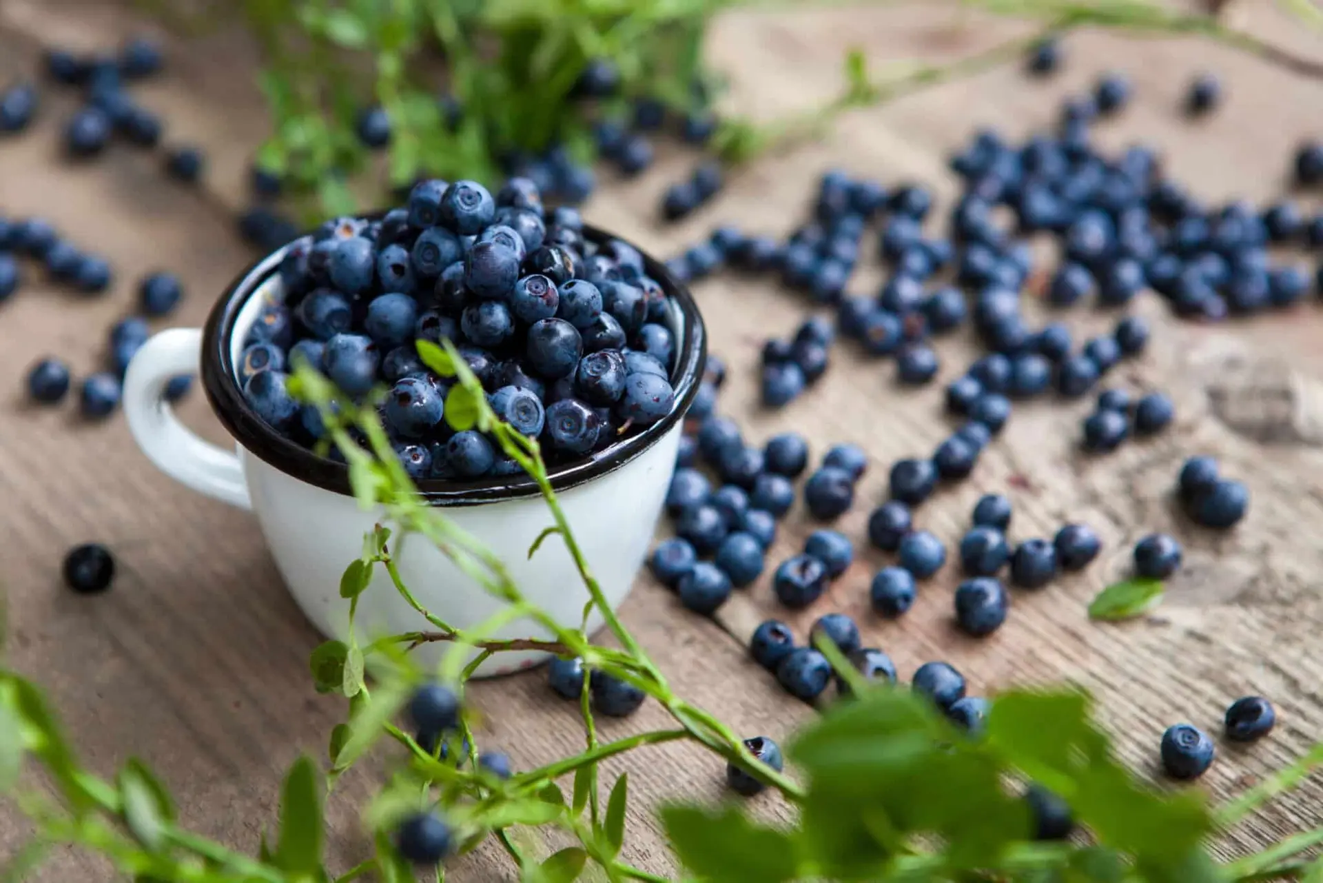 Confiture de myrtilles sauvages