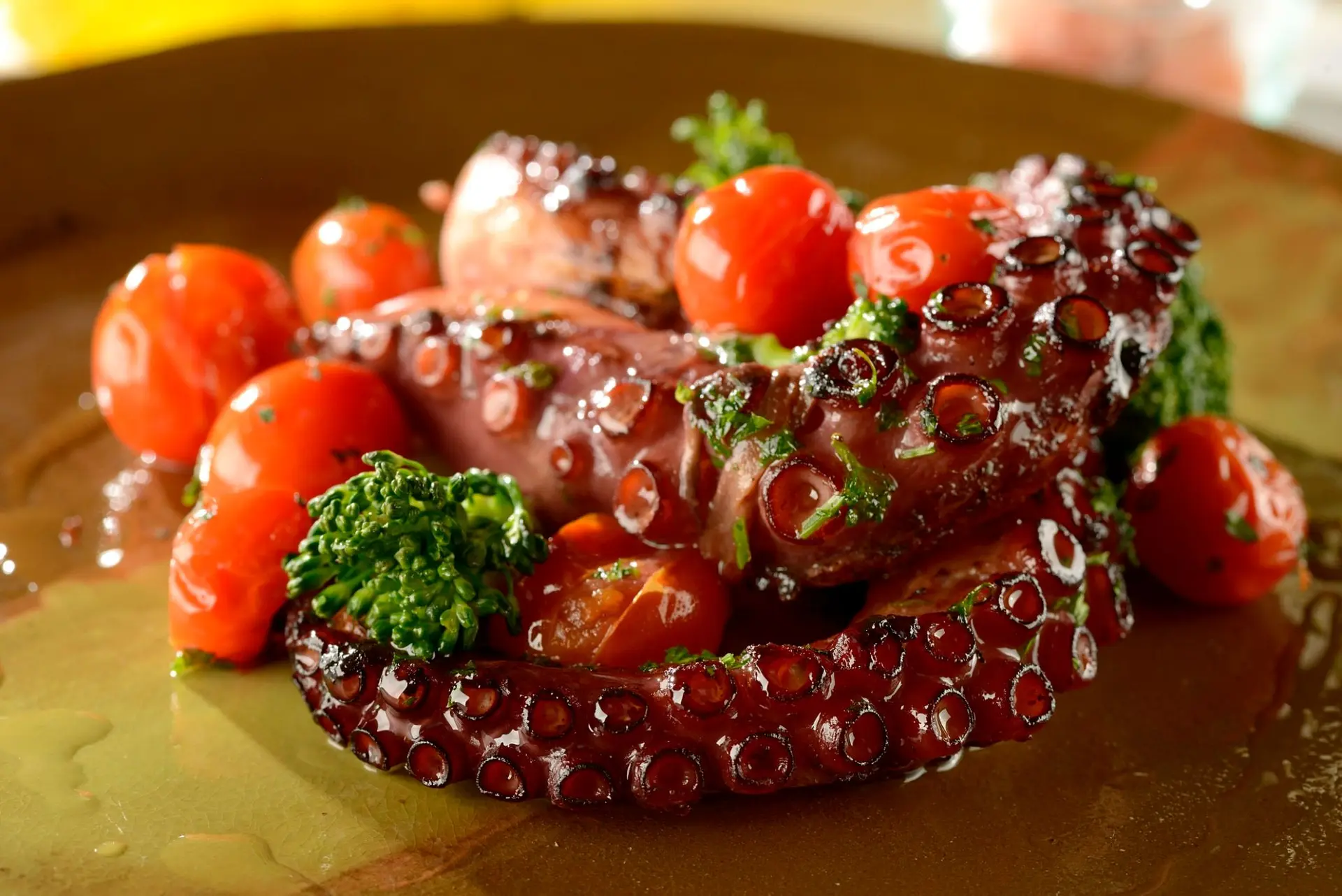 Recette du poulpe grillé au brocoli et confit de tomate