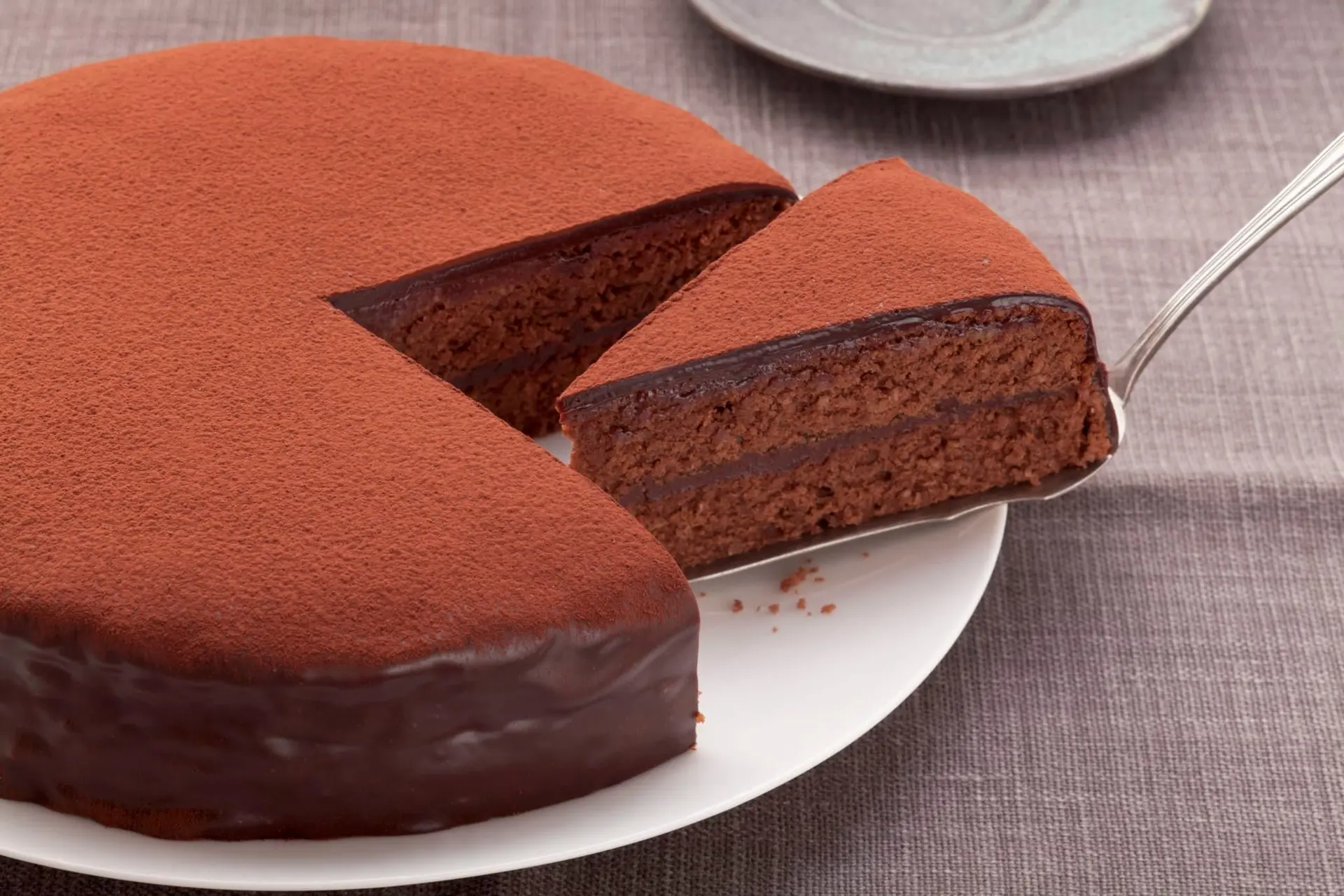 Gâteau au chocolat saupoudré de cacao