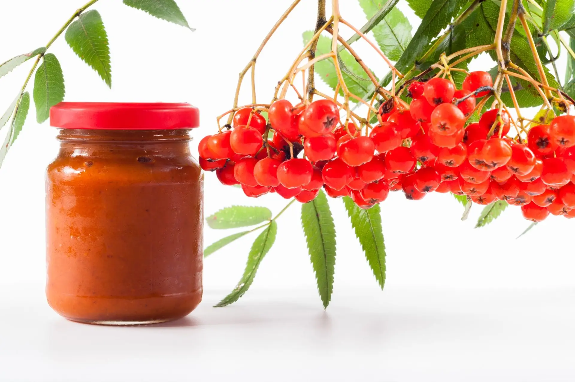 Recette de confiture de sorbier facile