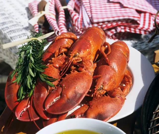 Homard cuit au barbecue
