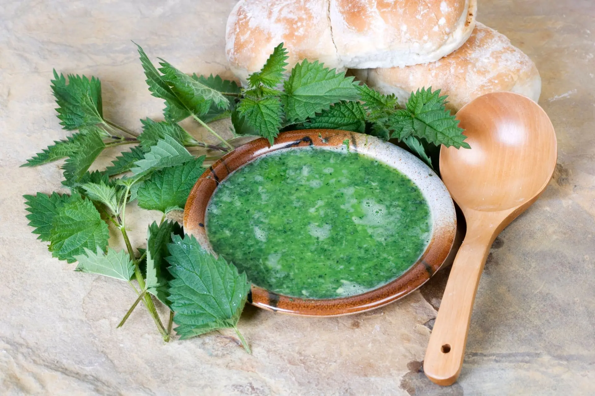 Soupe d'ortie