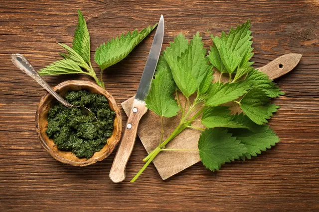 Pesto d'ortie