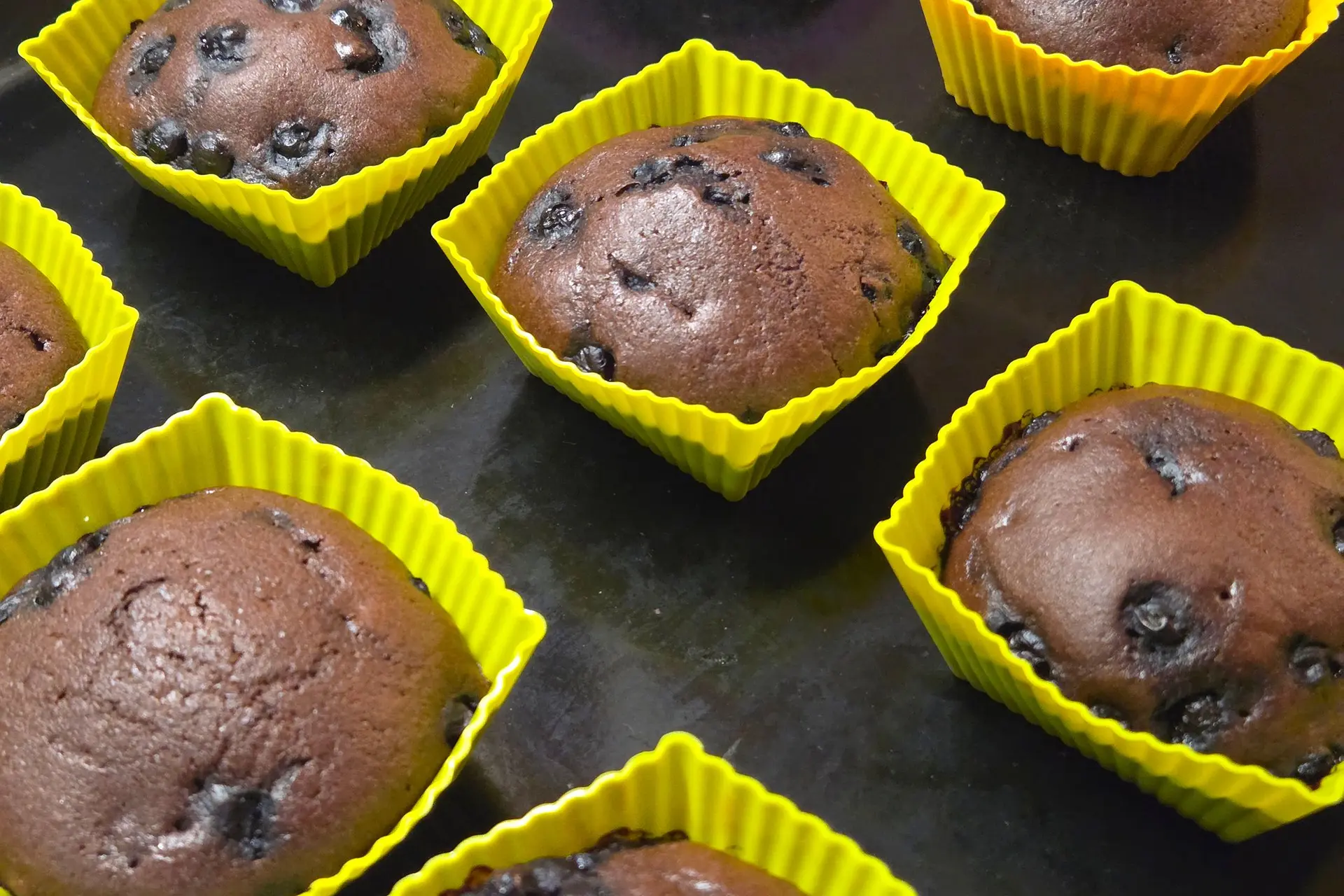 Muffins au chocolat aux myrtilles
